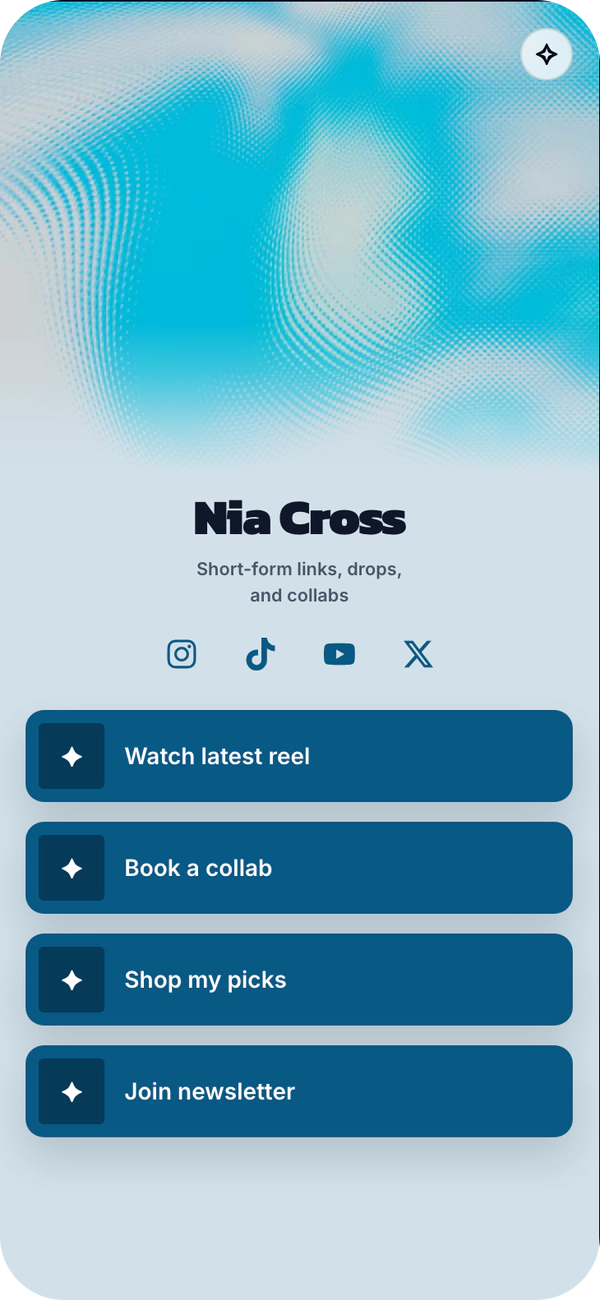 Aqua Mesh template preview
